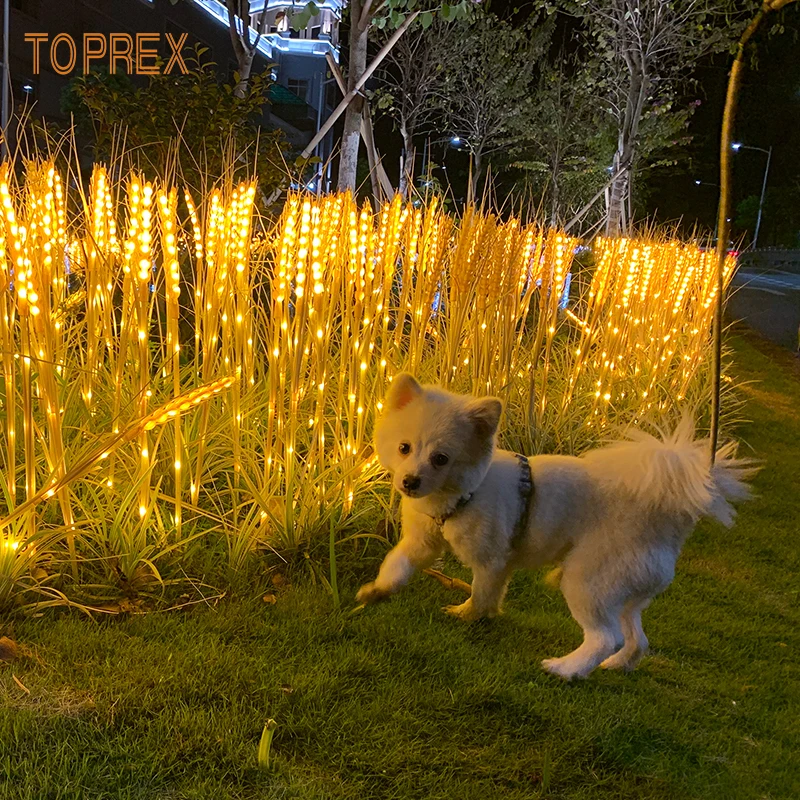Wholesale IP65 LED Wheat and Rice Flower Lights for Outdoor Garden Landscape Decoration DC Power Supply
