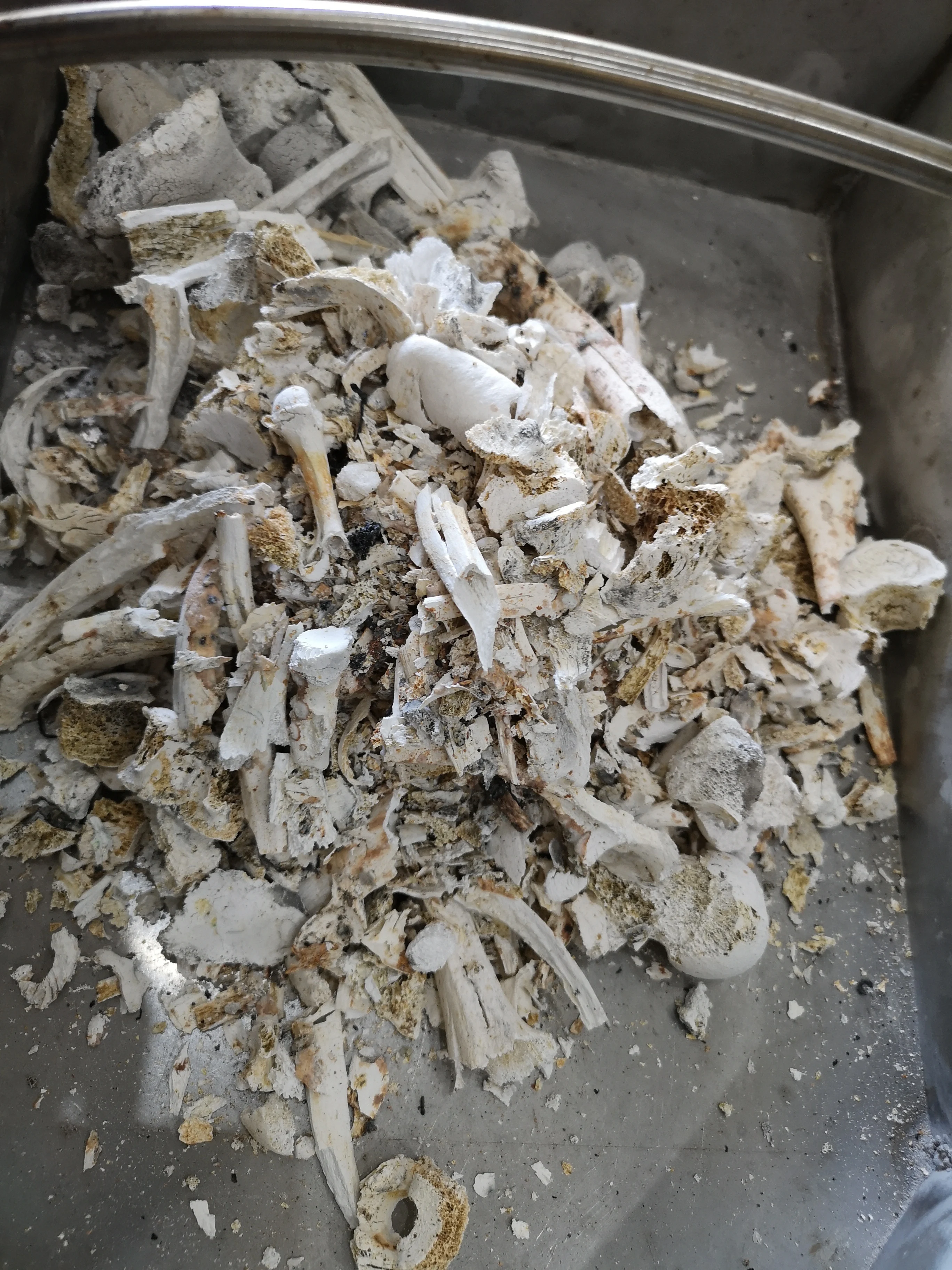 Кремации золы шлифовальная машина crematory использования животных