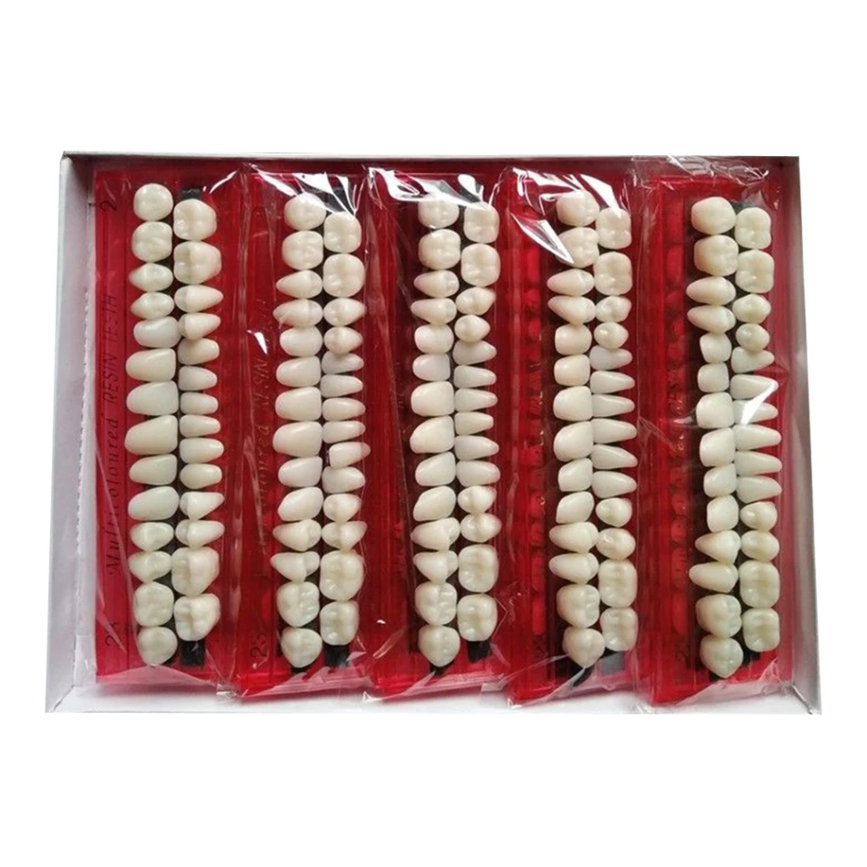 
Anterior False Teeth Denture False Teeth Flexibility High Quality Dental Hospital Practical False Teeth Material Dentures 