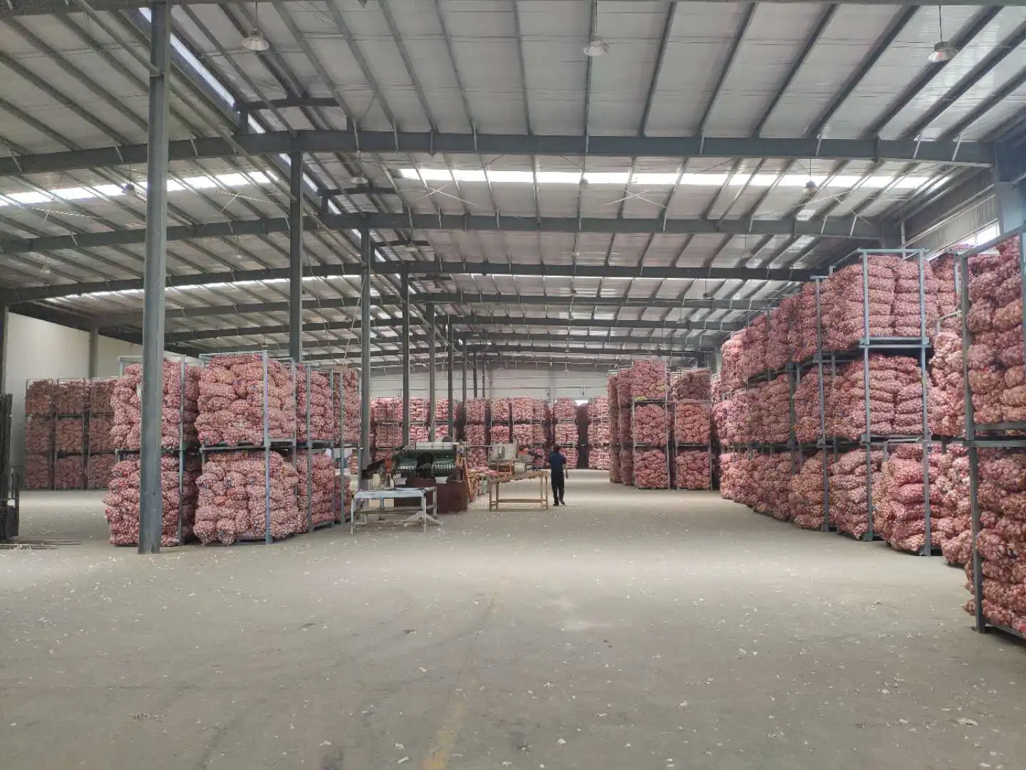 hot sale 5.5cm normal white garlic wholesale for export top grade 10/20 kg mesh bag / carton garlic with GLOBAL GAP & Haccp