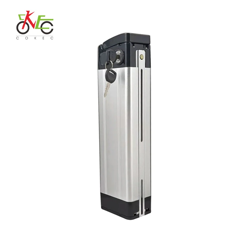 Bateria de litio customized 48V 20AH 18650 cell ebike e bike electric bike bicycle scooter battery pack 36V 10AH