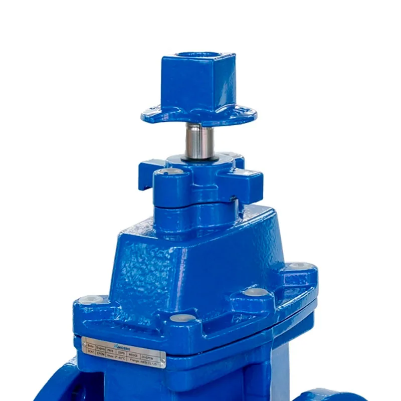 Ductile Iron Flanged NRS Resilient Wedge Gate Valve