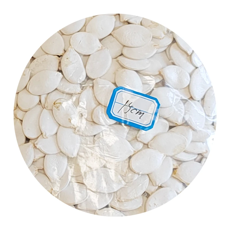 China Manufacture Good Quality New Arrivals Pumpkin Seed Kernel Organic Giant Pumpkin Seeds