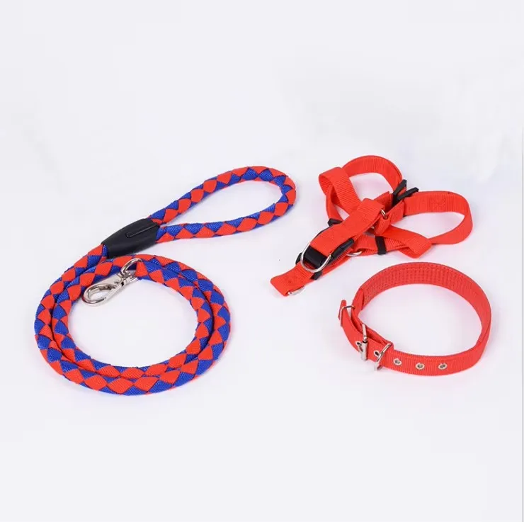 China new arrivals premium modern plain blue mini dog training running braided climbing short round rope strap tape collar leash