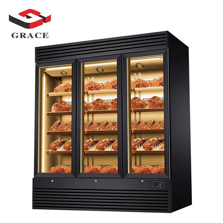 Grace 500L single door Strong air purification meat ager aging refrigerator beef age dry aged fridge