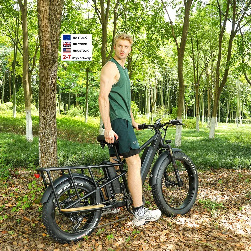 Wholesale 20inch Cargo Ebike 1000W Long Range Ebike Fat Tire Electric Delivery Bike Long Tail E Bicycle
