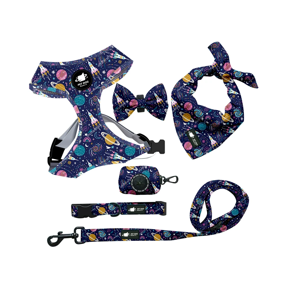 OEM/ODM Polyester Adjustable No Pull Pet Dog Leash Collar And Harness Set RTS