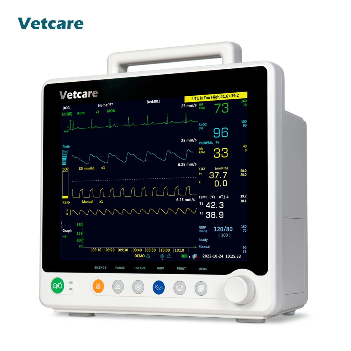 12 inch touch screen Standard 6-parameters vital sign veterinary monitor with ECG SpO2 NIBP TEMP PR module