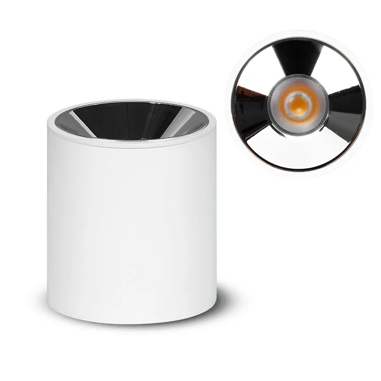 FAST Manufacturer high quality customized aluminum enclosure recessed ceiling spotlights for household white LED spotlights