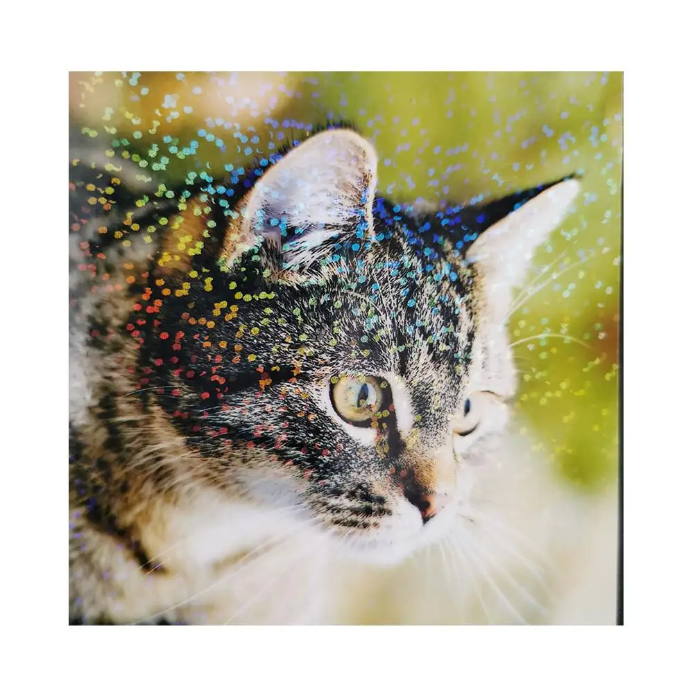 flash dot moisture proof anti scratch durable PET holographic protective photo cold laminate film