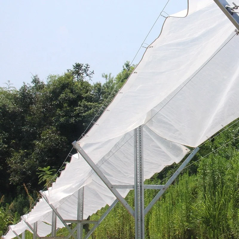 Quality Orchard and Vineyard Table Grapes Raincover Tarpaulin  Protect Crop Covers 120gsm woven plastic film