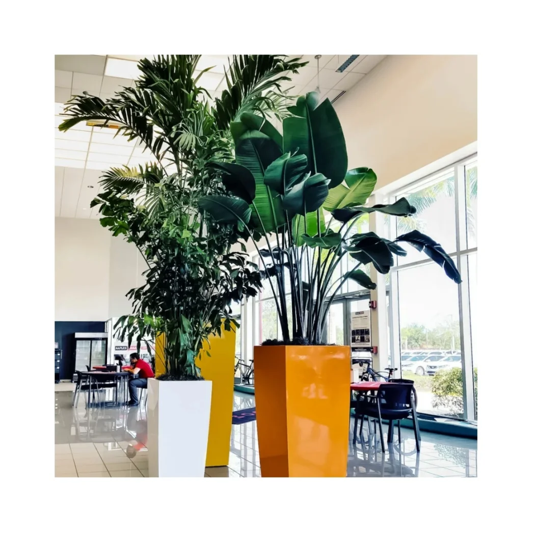 Modern Design Office Decor 36-Inch Tall Fiberglass Plant Pots Floor-Standing Flower Pot in Multi Colors for Garden Use