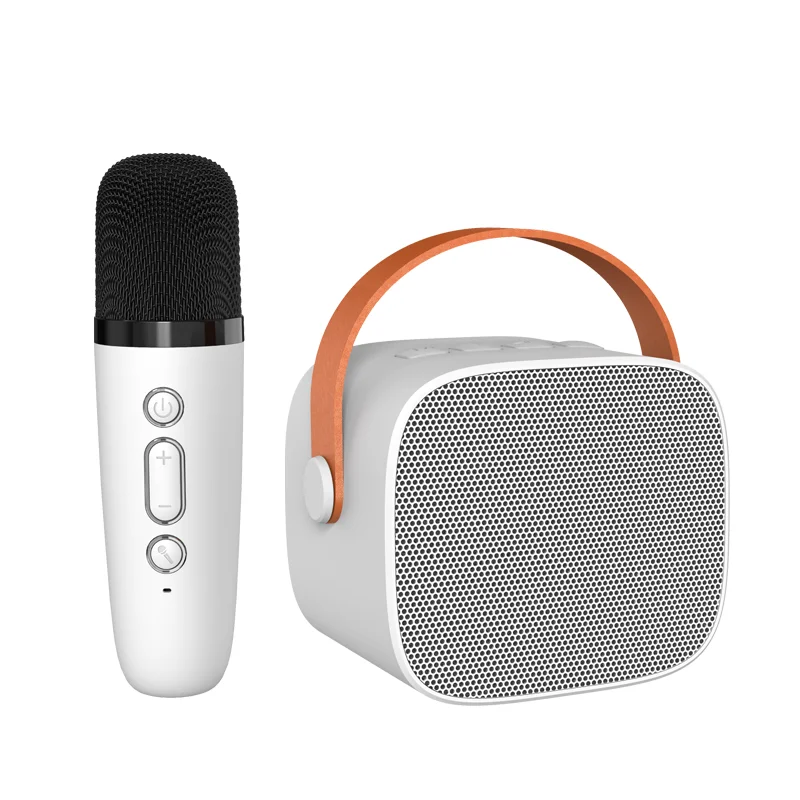 Mini Portable Speaker Outdoor Mini Party Bass HIFI BT Speaker With Mic Home Wireless Karaoke Speaker