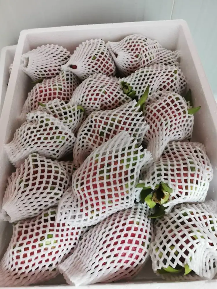
High quality Fresh Dragon Fruit Form Thailand 