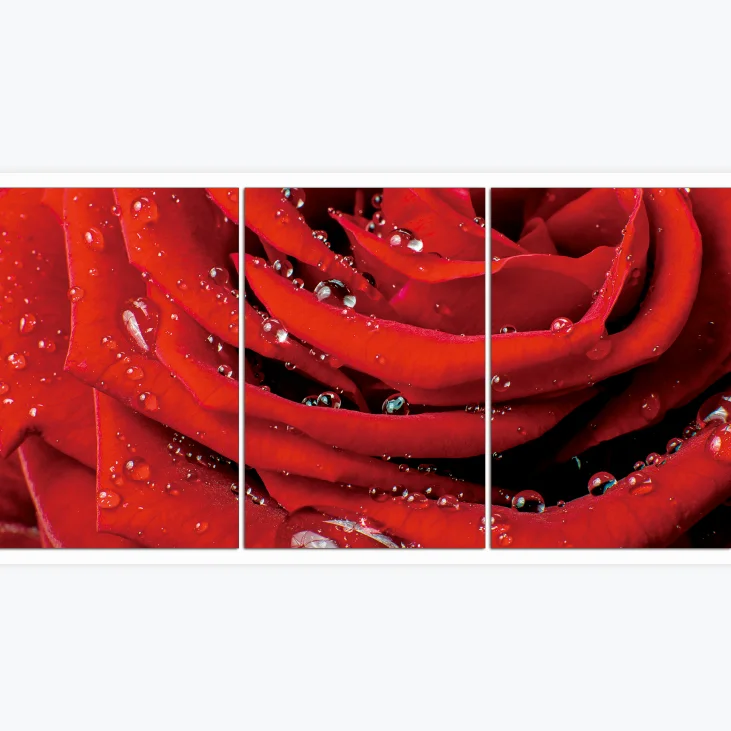 China professional Factory Wholesale Framed Art oil Prints Red Rose acrylic Wall Painting Canvas