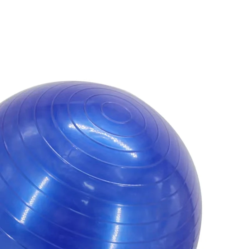Yoga Ball Pelota De Gimnasia Indoor Gym Palla Yoga Fitness Equipment 65cm Colorful PVC Gym balls