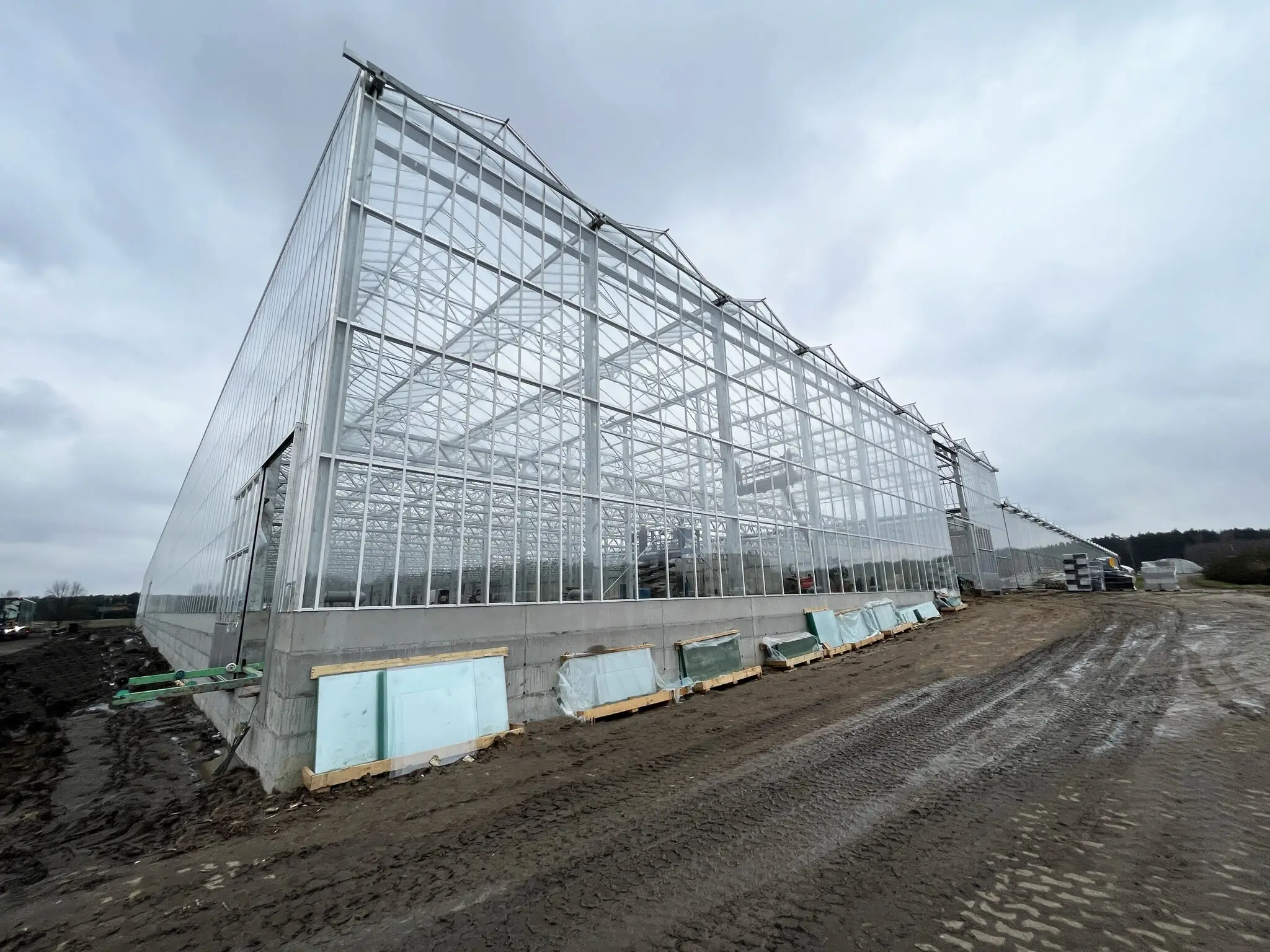 Промышленная сельскохозяйственная теплица Venlo 10 8 м 1084 низкая цена