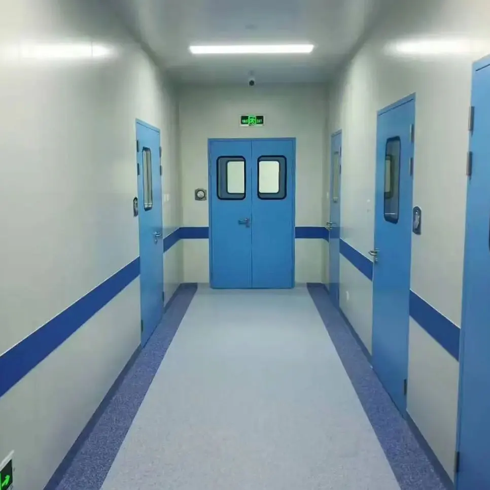 Stainless Steel Modular Airtight Hermetic Manual Medical Cleanroom Swing Gmp Laboratory Industrial Cleanroom Door