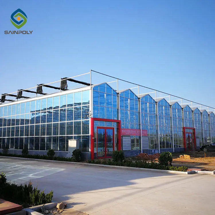 Hot Selling Large Size Sainpoly China Wholesale Glass Multi-Span Greenhouse High Quality and Affordable