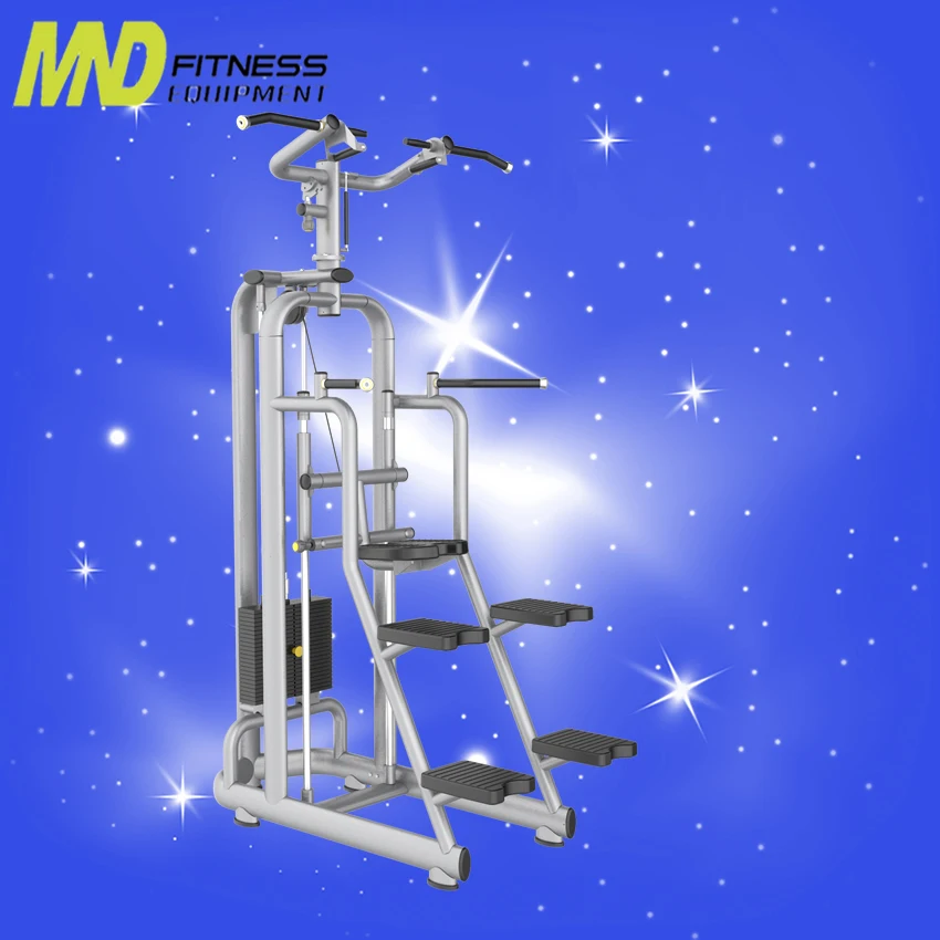 Professional Sport Wholesales China 618 Hot Sale Commercial Fitness Strength Exercise Gym Use Machine AN23 Assistant Chin Up Dip Shopping Holiday Training Equipment