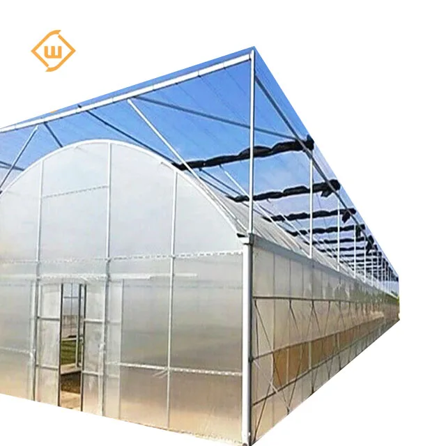 modern steel pipe tunnel tomato hook single span greenhouse structure polycarbonate commercial large green house