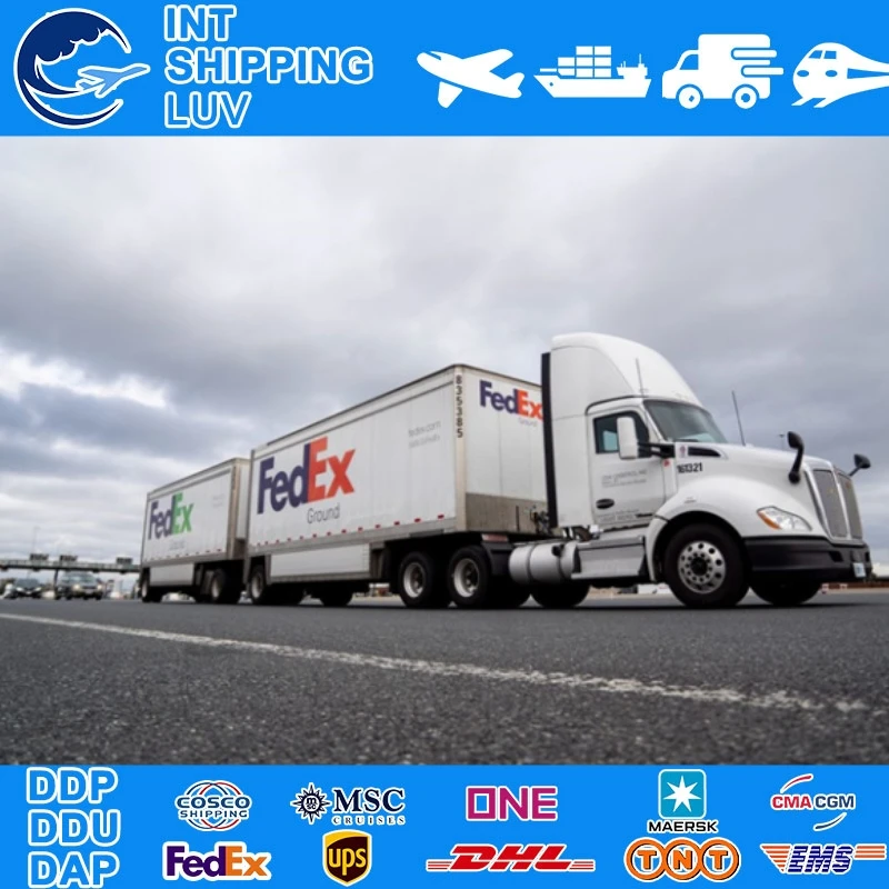 Professional international door to door delivery road freight shipping to russia