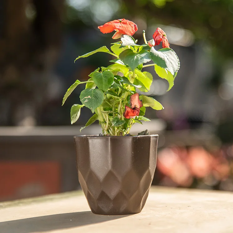 
Wholesale plastic orchid pots nursery luxury flower pot with high quality 