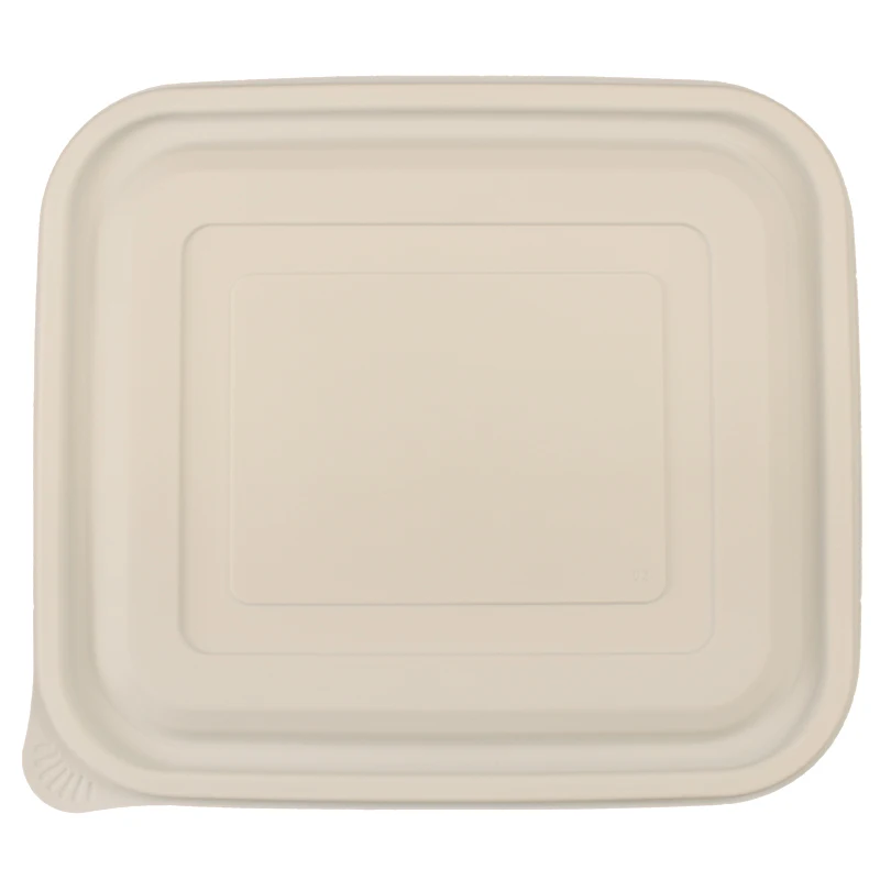 CPla Food Container Manufacturer/Biodegradable 5 Compartment Food Container Disposable