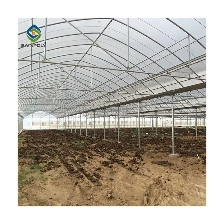 Commercial Plastic Film Tunnel Greenhouse Galvanized Agriculture Transparent Greenhouse Tunnel Garden Greenhouse