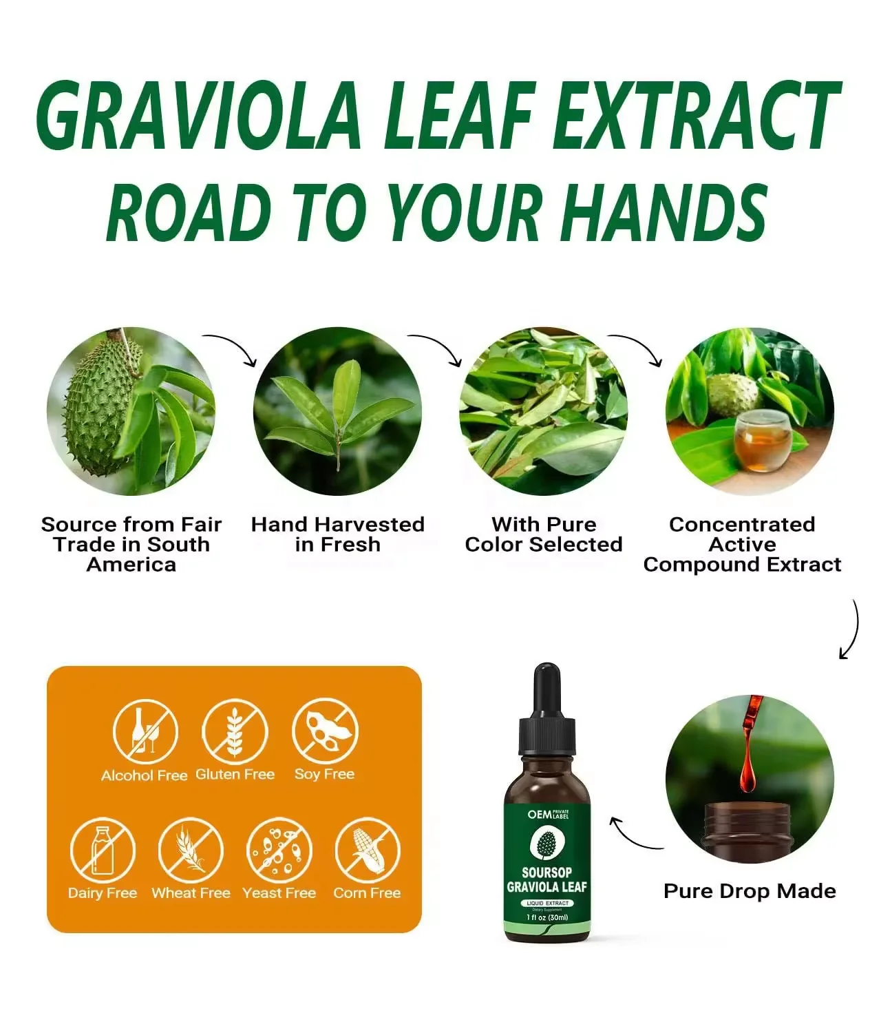 Private Label Soursop Graviola Leaf Extract Liquid Drops for Cell Support Immune Boost Soursop Bitters Liquid