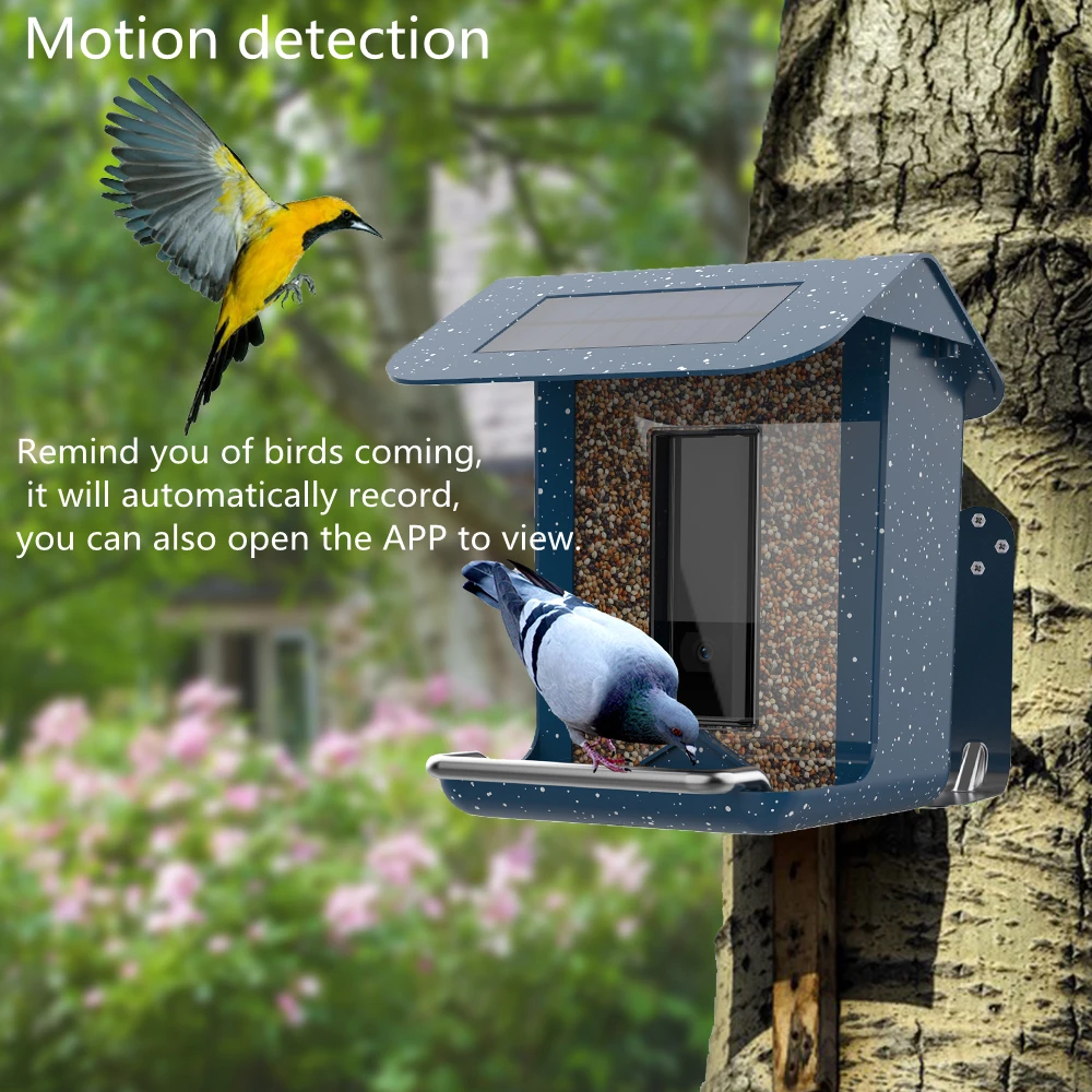 Bird watching smart feeder with camera for backyard garden wild bird feeding
