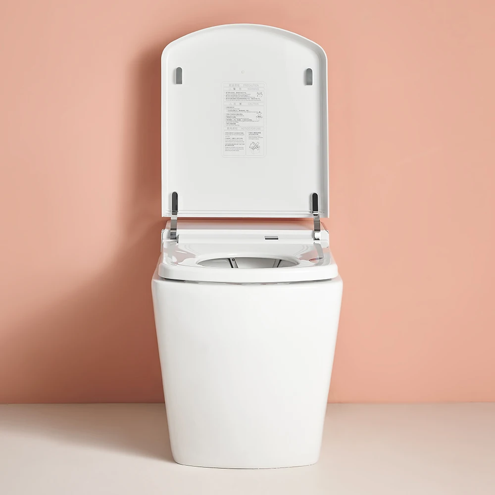 Contemporary design bathroom toilet bidet water