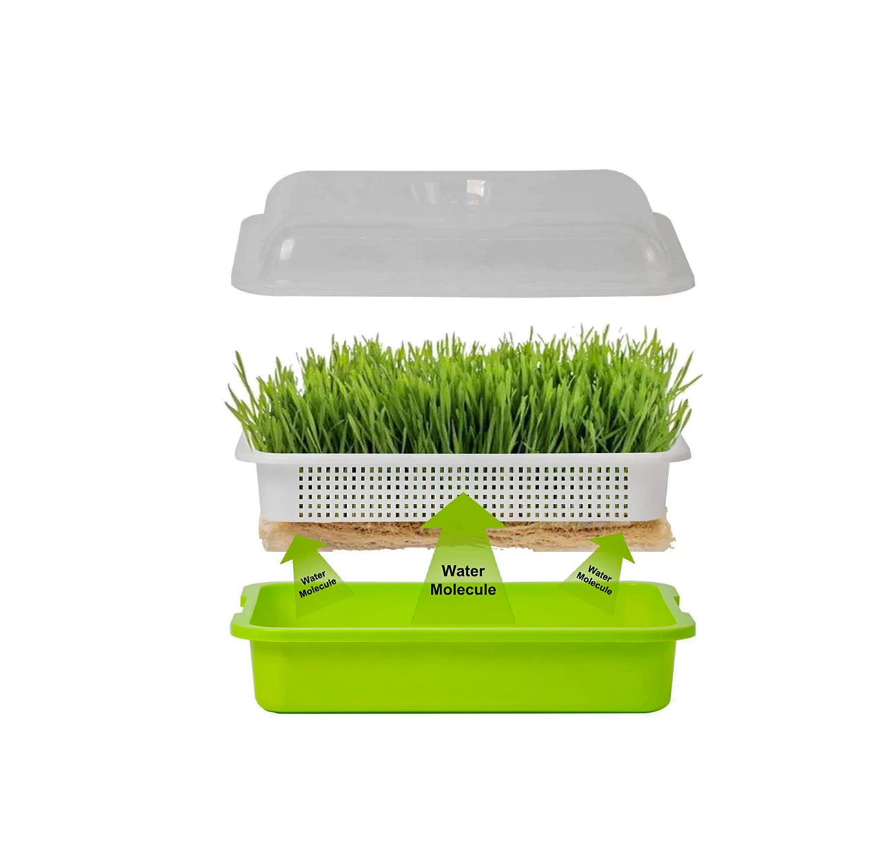 Cheap Price Durable Reusable Plastic Seedling Trays/Grow Tray/Sprout Tray Microgreen Tray