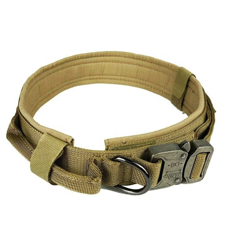 Wholesale Best Seller Soft Comfortable Padded Personalized Name Tag Reflective Durable Nylon Pet Dog Product Collar