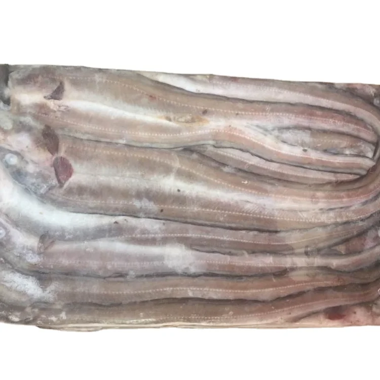 Новинка, рыба в виде замороженного конгера, щуки, угоря, 300-400 г