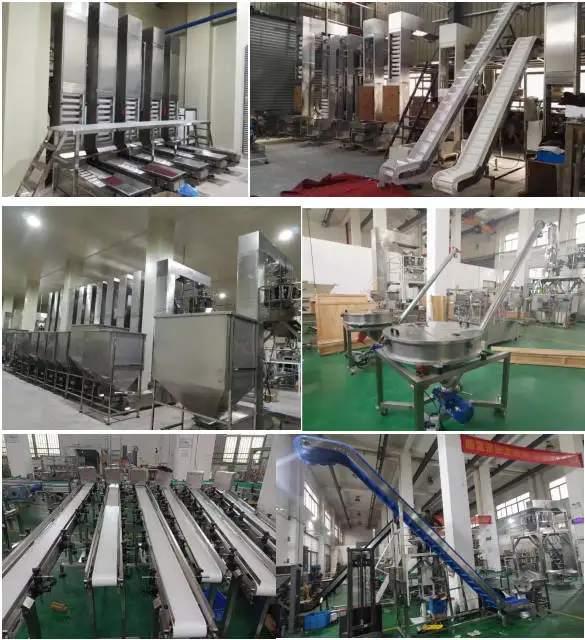 Professinal Manufacture For Bucket Chain Elevator Z Shape /C Shape Transporting Bucket Conveyor System