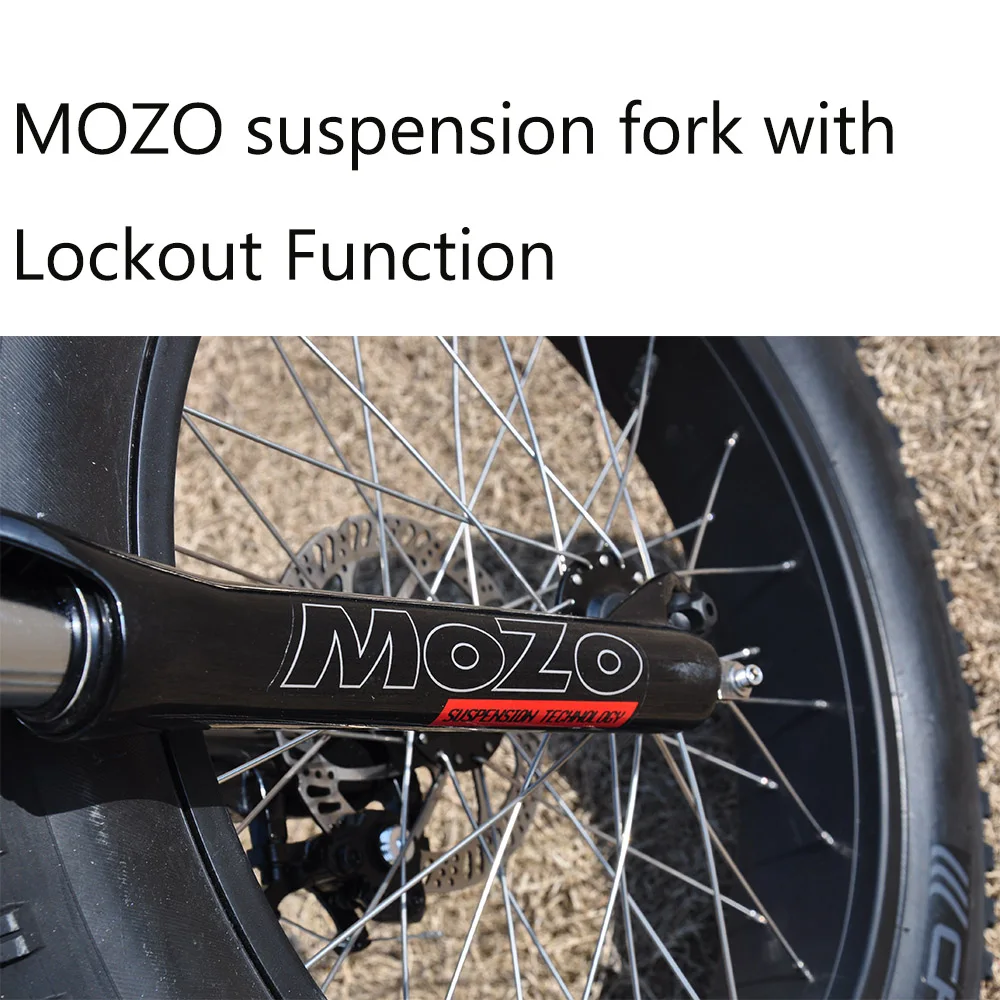 500/750W MTB e bike Italian  frame ebike  electric fat bike bicycle