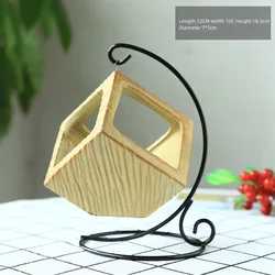 European-style iron frame hanging basket micro-landscape geometric succulent flower pot Iron hook desktop home decoration Chloro