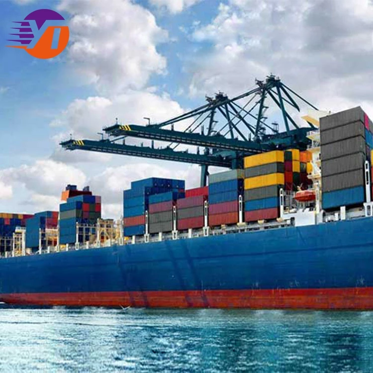 International Logistics Cargo Consolidation Door To Door Sea Freight Shipping Agent From China Ddp to Usa Canada