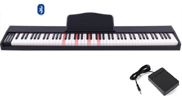 USB-MP3 Pedal Options and Type-C 5V Power Touch Sensitive Musical Organ Electronic Piano/Keyboard Rock Your World!