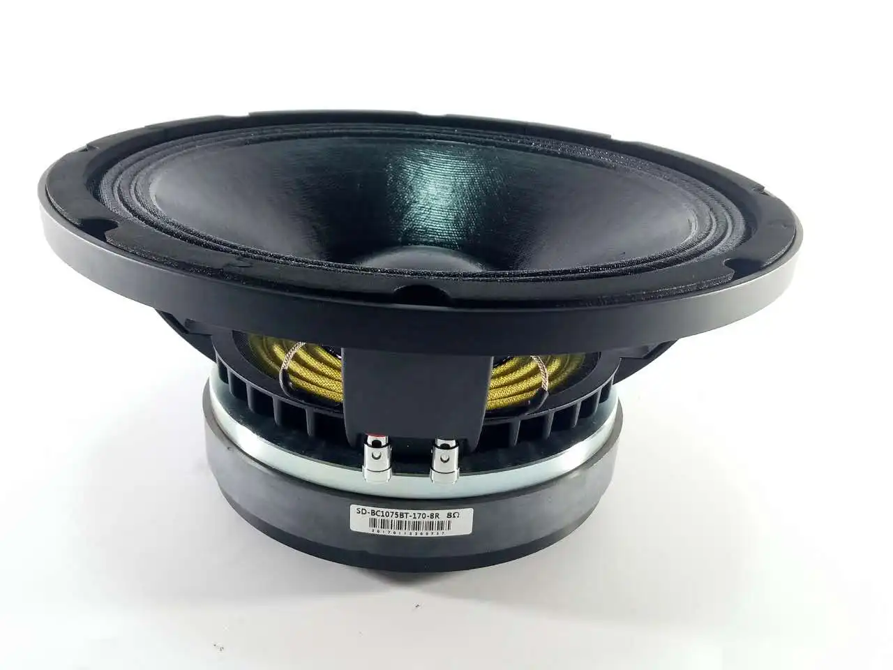 10 inch speaker, 1075-170T, big magnet , big voice coil