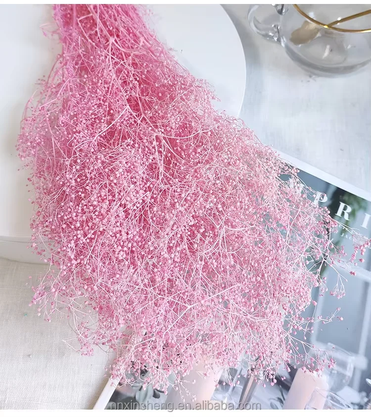 Babysbreath Bouquet Arrangement Gypsophila Phantasy Star Babysbreath Dry Million Stars Gypsophila Preserved Million Star