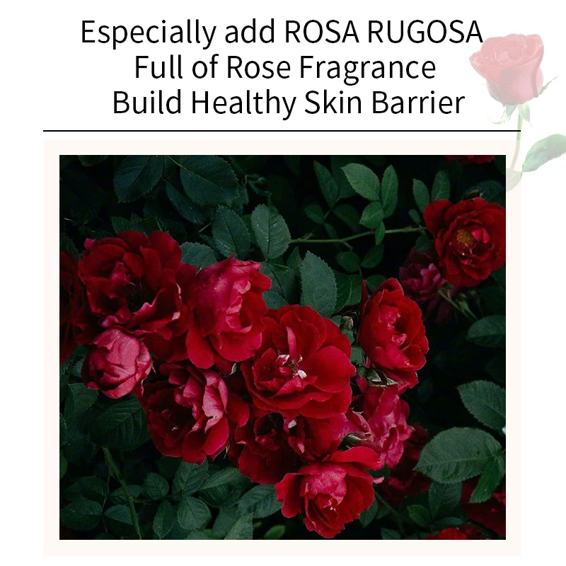 OEM ODM Rose Fragrance perfume Body Wash shower gel smell rose for Dry and Neutral Skin  for Women