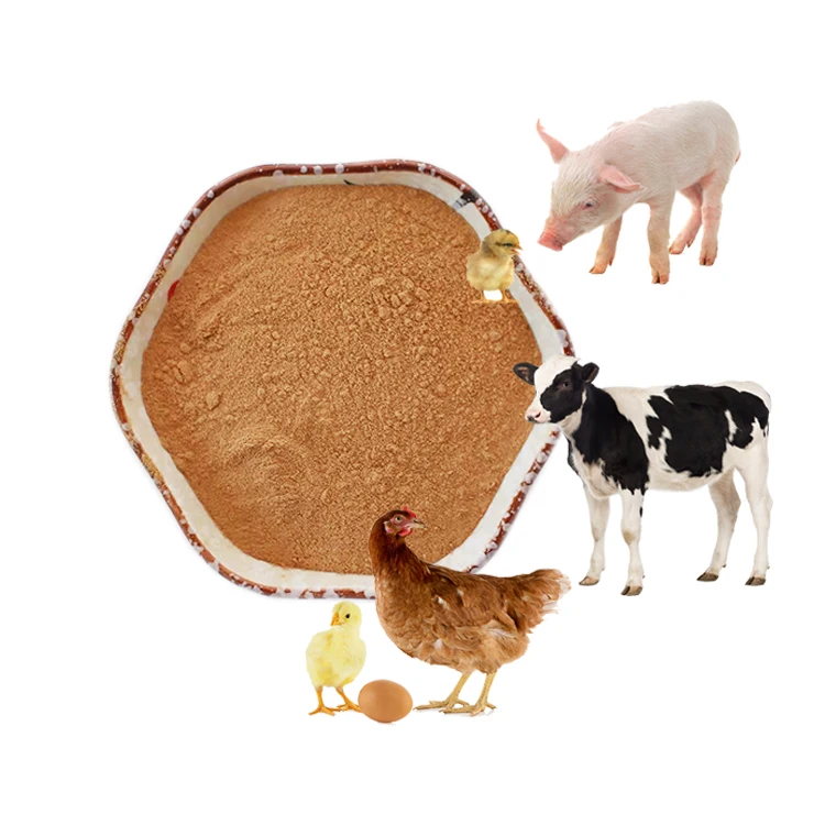 Wholesale Bacillus Feed Additive Fish Probiotics Powder Bacillus Subtilis price