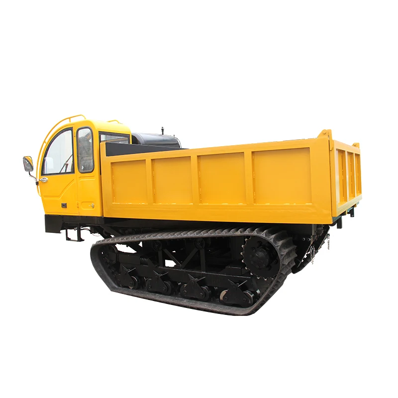 Available in Stock Easy to Operate Chain Dumper Truck Hydraulic Mini Truck Diesel Electric Fuel Options High Driving Cab Roof