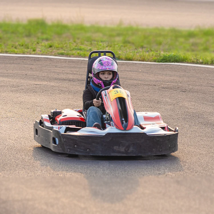 Zhuoyuan High Speed Adult & Child Karting Car for Amusement Park 68km/h Gas-Powered Go Kart for Children