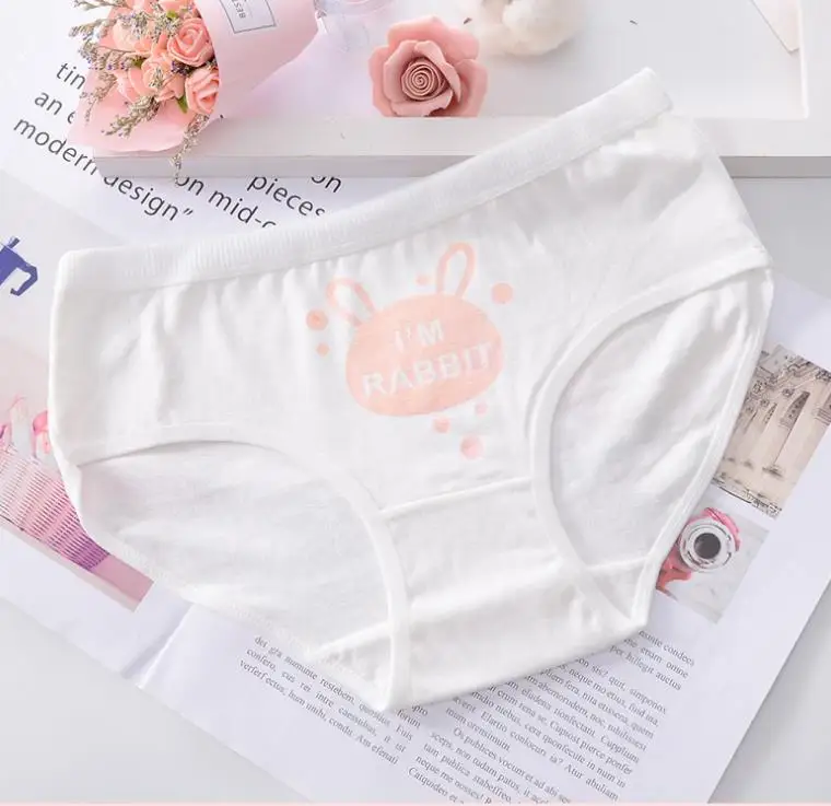 
New 4pcs Teenage Panties Rabbit Underpants Young Girl Briefs Comfortable Cotton Pink Panties 