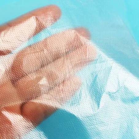 Summer Hot Models folded single use Examination PE Gloves Plastic Gloves Powder Free for Veterinary