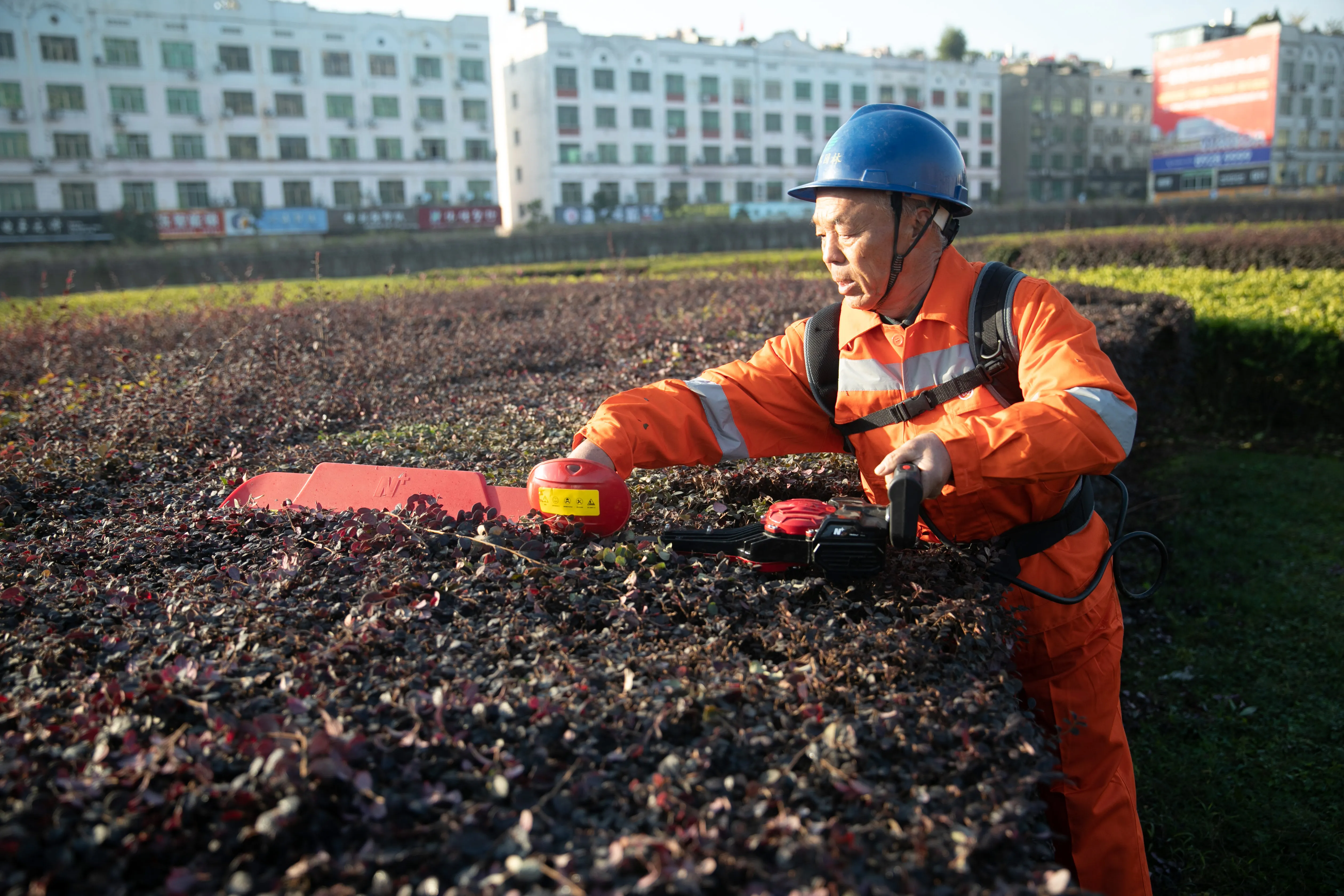 Strong power electric hedge trimmer one single blade garden tool lithium battery brushless ironless disc motor trimmer