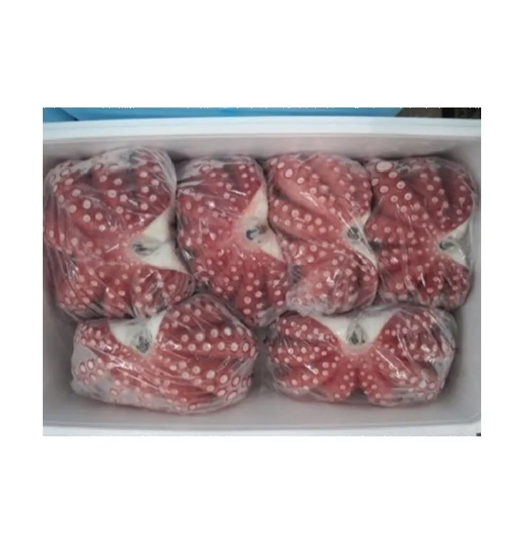 Japanese premium quality seafood whole frozen seasoned octopus